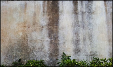 2012-10-24 08.01.42_1