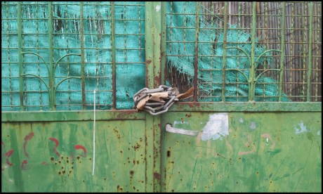 2012-10-24 08.01.58_1