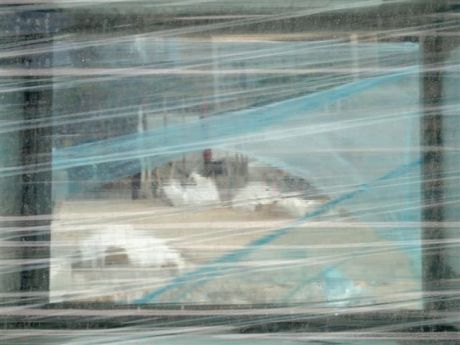 קטרין פרנקל מסכים